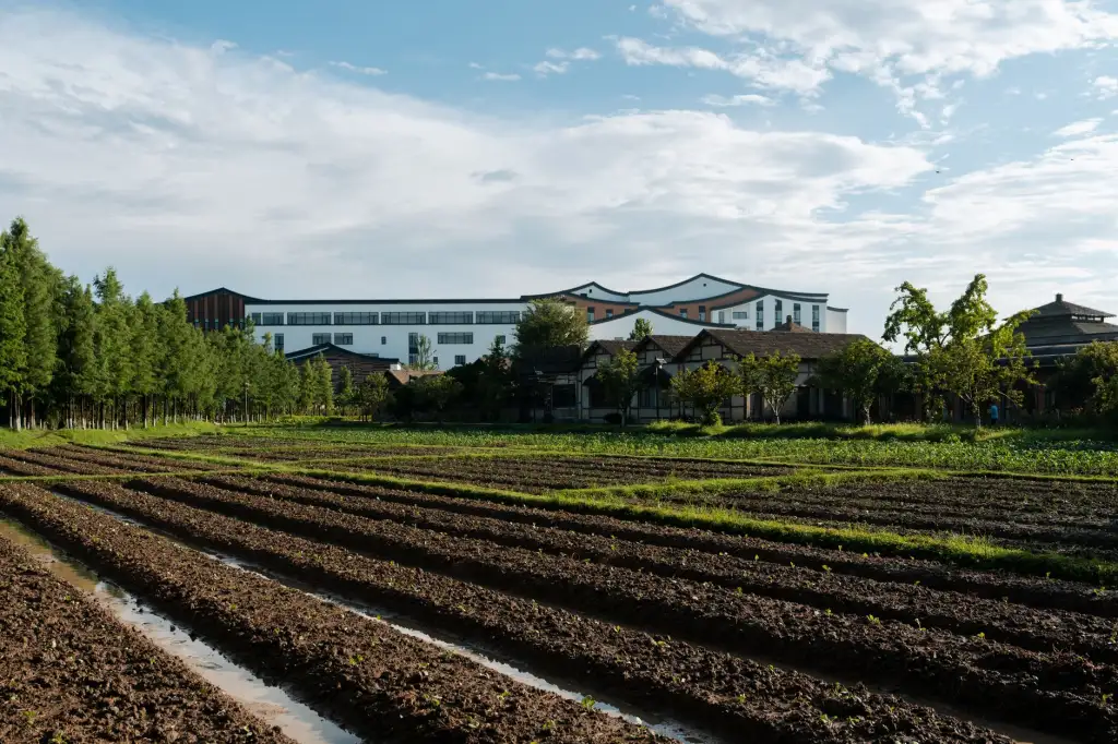 长沙德奥家具办公桌系列产品技术优势与工艺解析