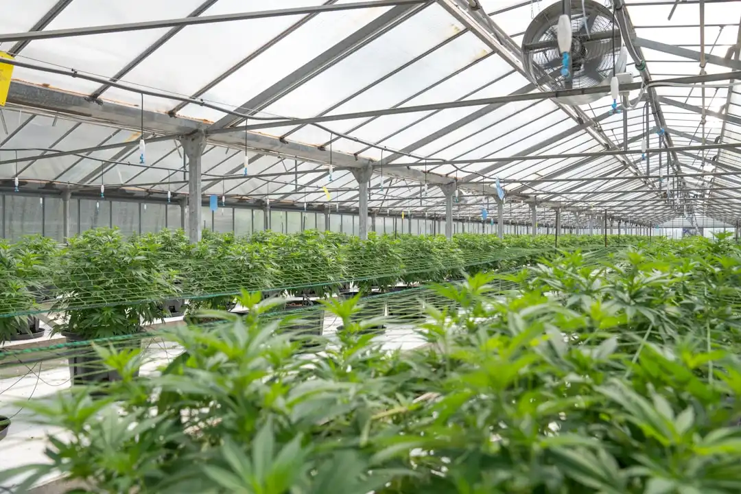长沙德奥办公家具产品型号参数对比与选购分析